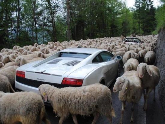 Khi siêu xe lâm vào tình huống siêu dị